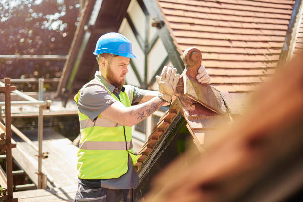 Best Commercial Roofing Services  in Darmstadt, IN